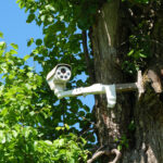 Why Every Home Needs a Perimeter Protection System A white security camera mounted on a large tree with tons of green leaves contains multiple camera slots.