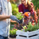 Becoming a Plant Parent: How To Grow Your Garden Becoming a Plant Parent: How To Grow Your Garden